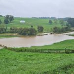 article image - Rising Star Stables
